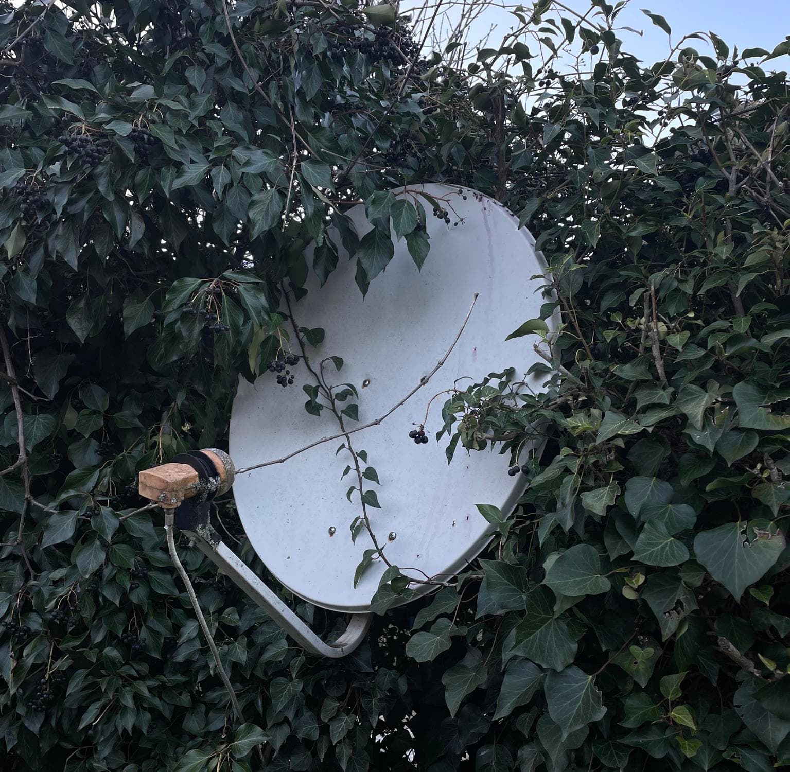 Human-Nature-Technology Entanglements